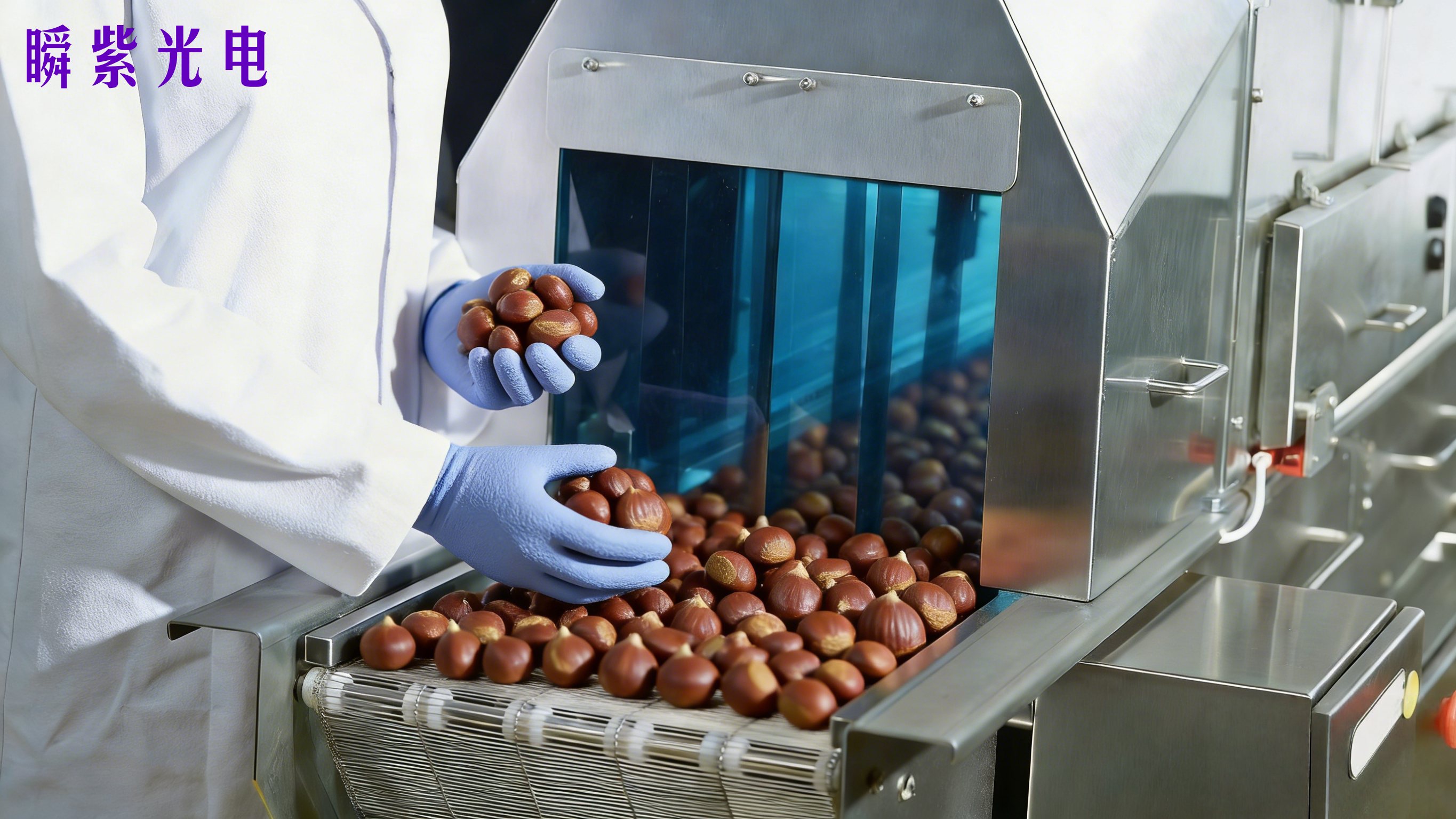 光启食安新境：脉冲强光赋能板栗产业绿色升级