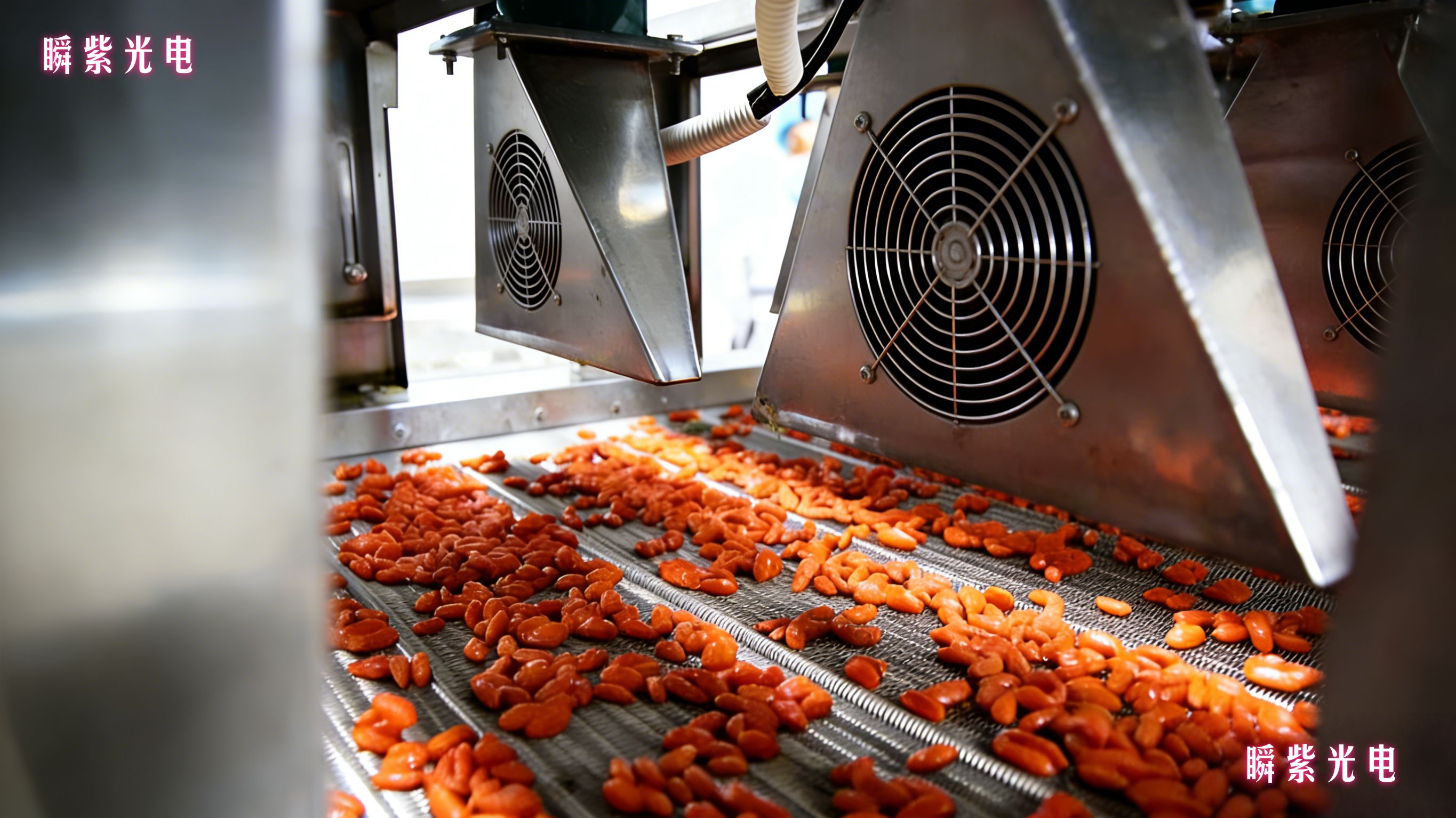 脉冲光技术赋能枸杞杀菌：上海瞬紫科技引领非热杀菌新范式