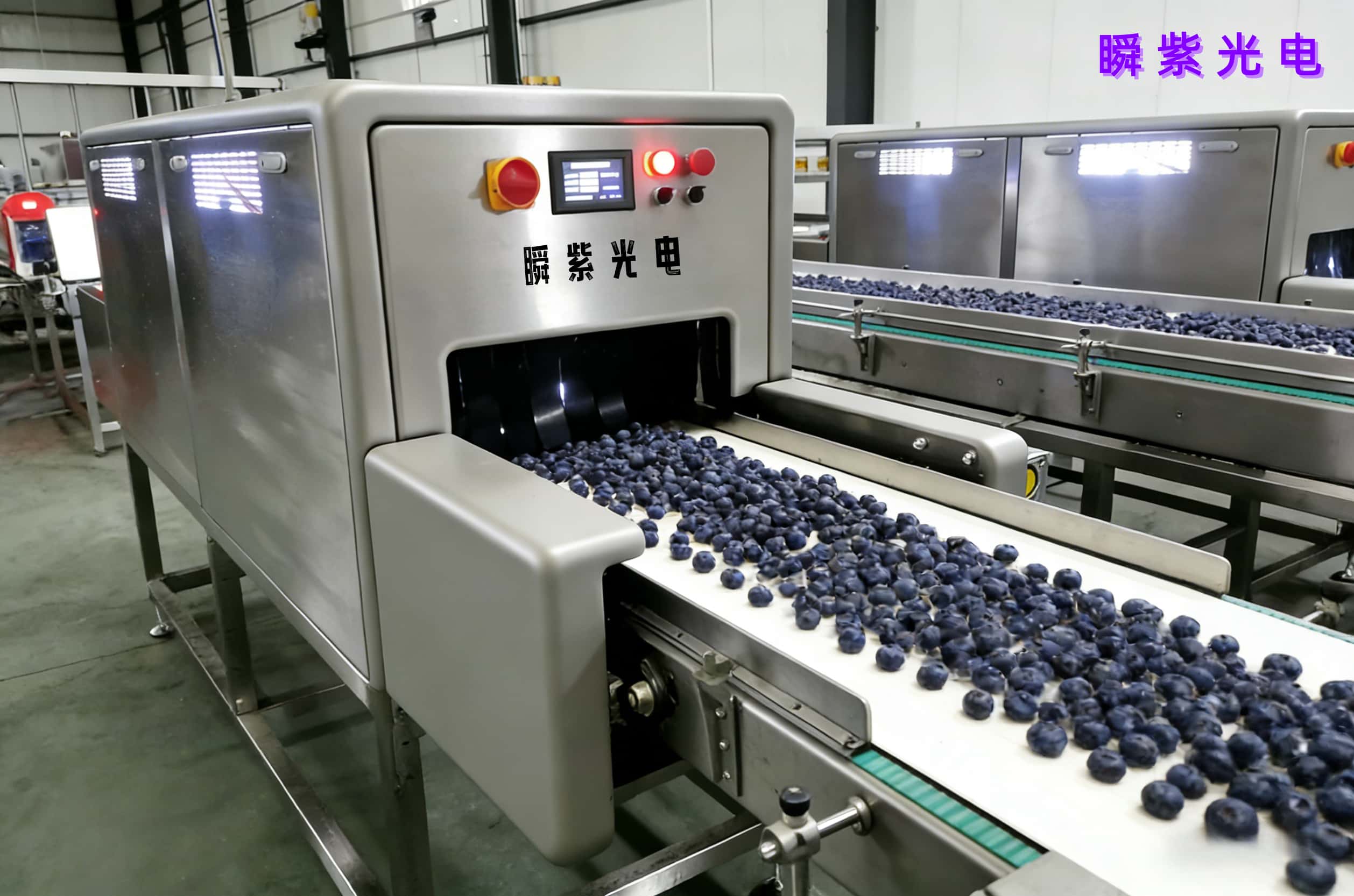 蓝莓保鲜革命：瞬紫科技隧道式脉冲光杀菌，锁鲜90天、品质零损伤