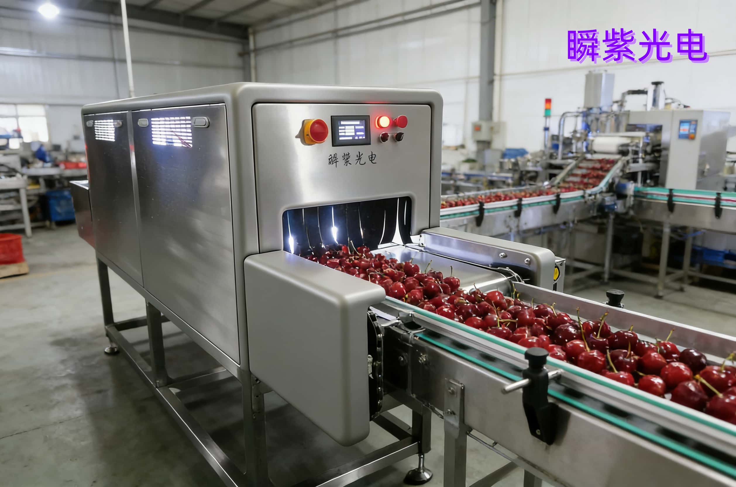 瞬紫科技｜隧道式脉冲光杀菌：破解樱桃采后杀菌痛点，筑牢产业品质防线